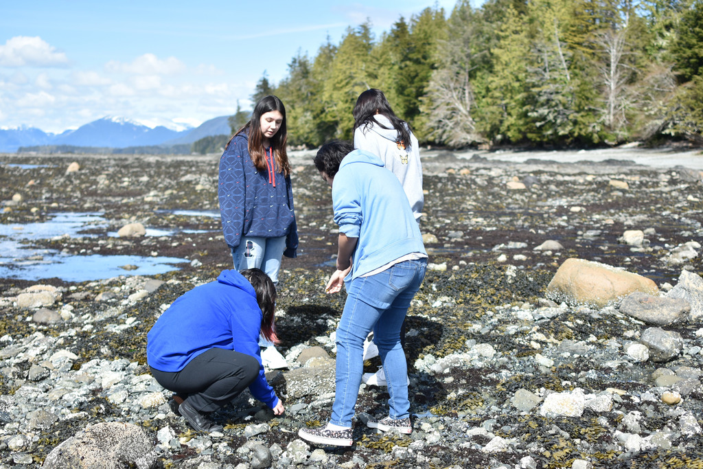 students looking at tide pools at the beach