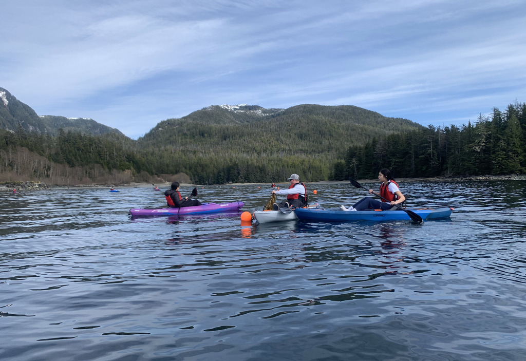 students on kayaks looking at kelp