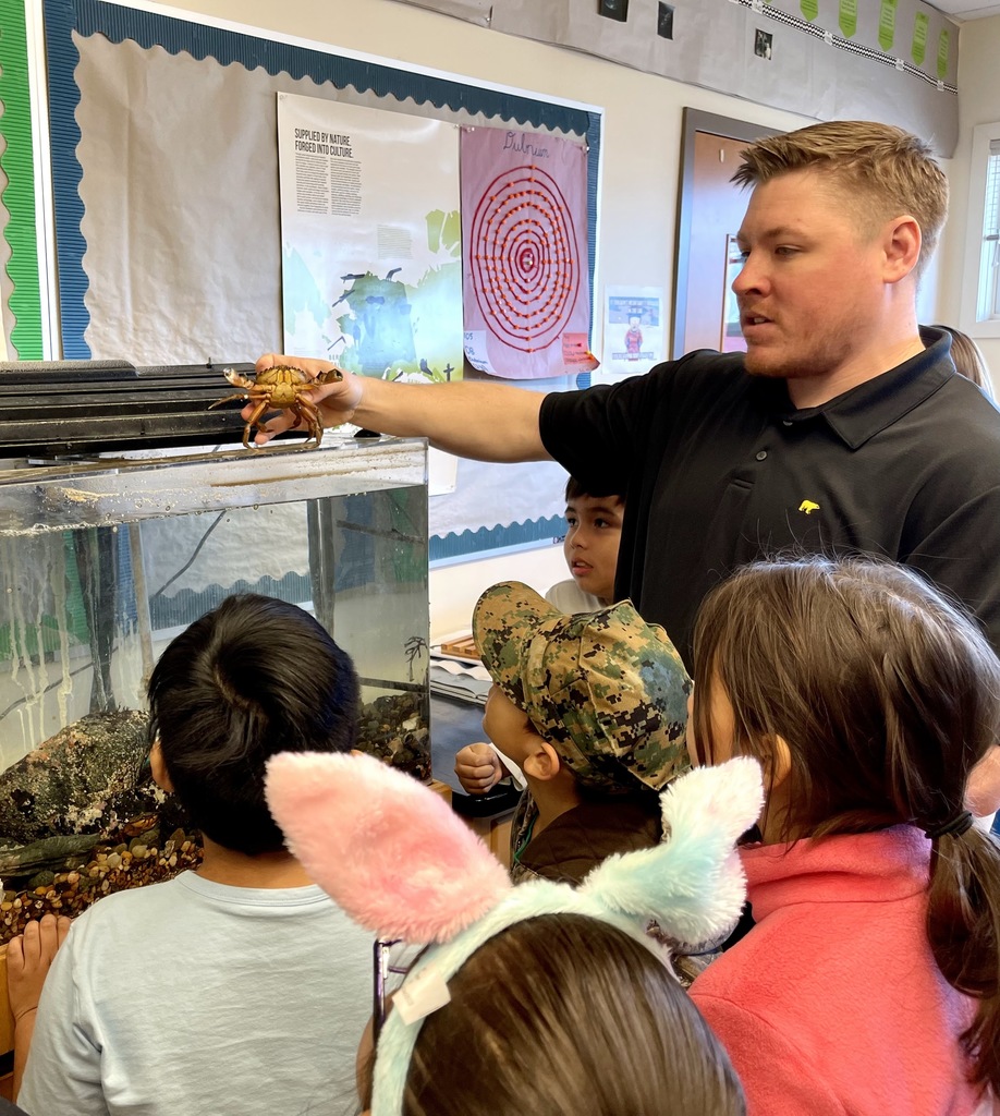 teacher holding up crab for students
