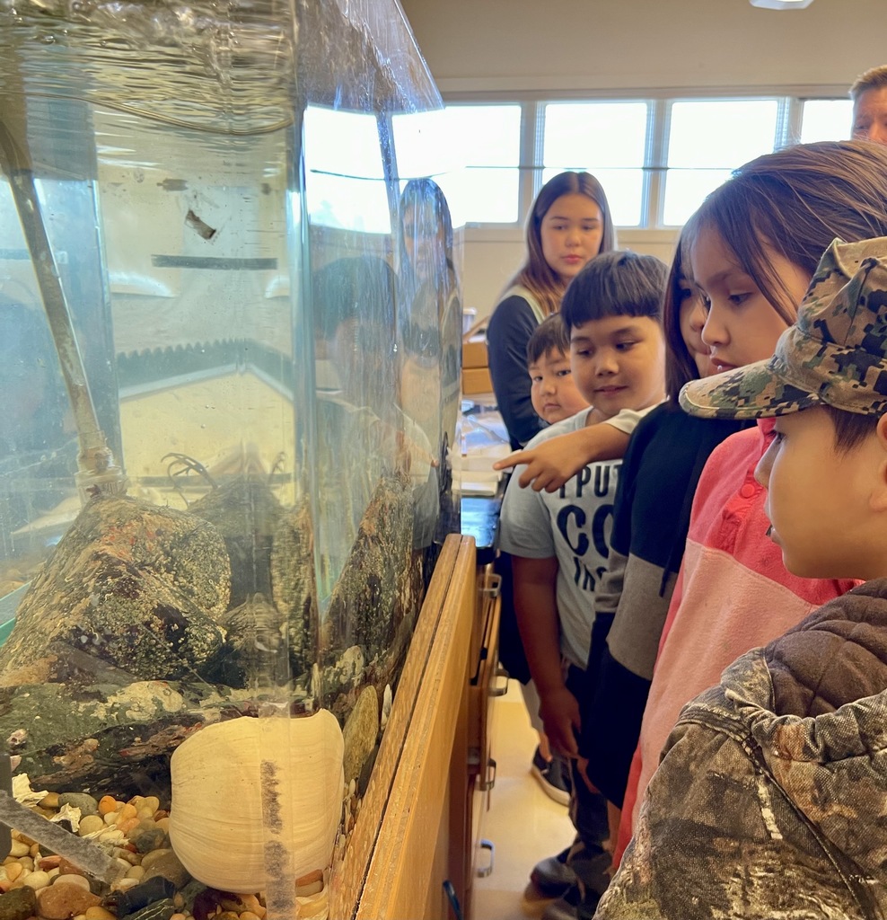 students looking at large aquarium pointing